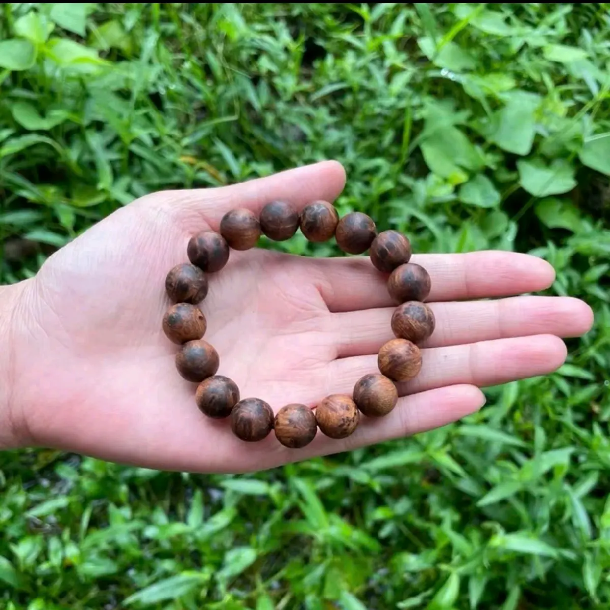 vòng nu ngọc am nhiều dầu