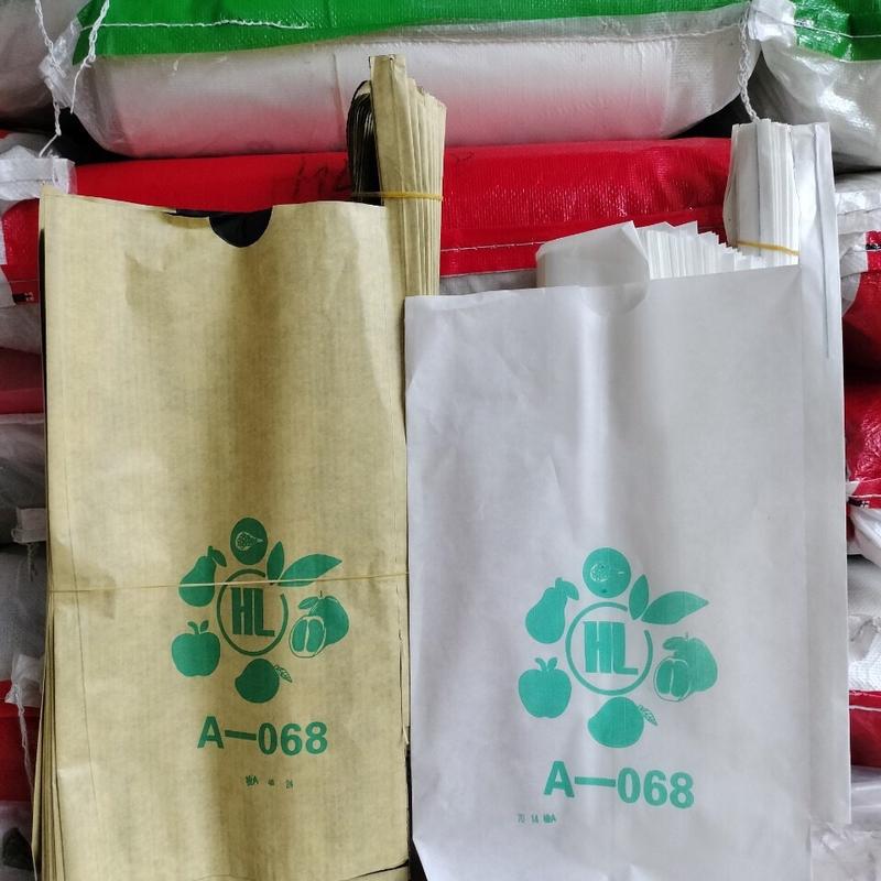 100 túi bao xoài giấy vàng 2 lớp cỡ 22x34cm 1