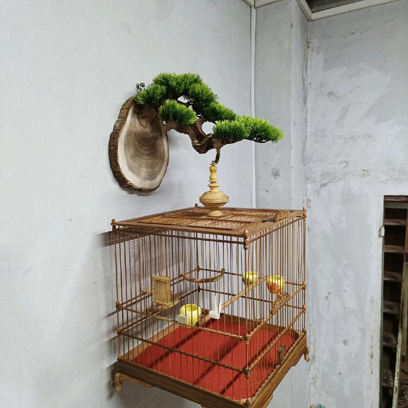 Móc treo lồng chim Chào Mào, Cu Gáy, cây treo lồng chim bằng gỗ lũa, tán bằng nhựa.