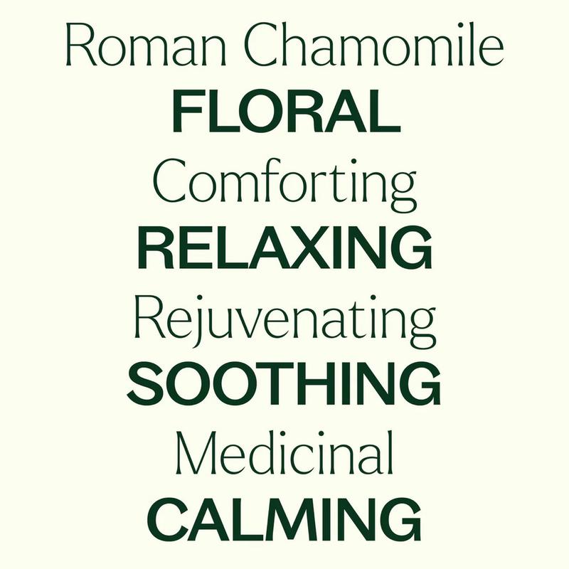 Plant Therapy Chamomile Roman Organic Essential Oil 5