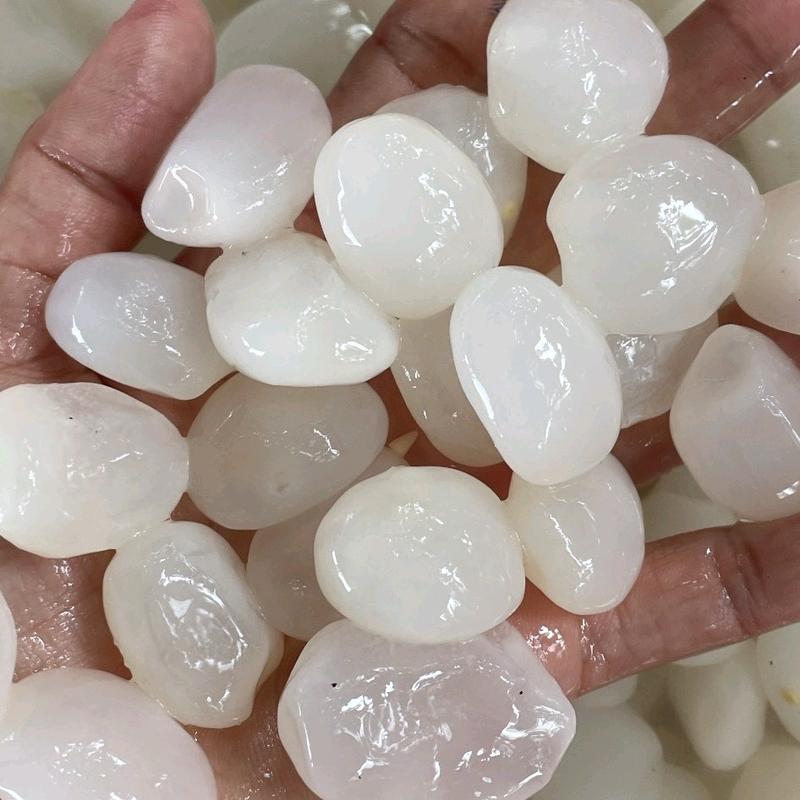 hạt đác size vừa 1kg Topping đồ uống thịnh hành tươi