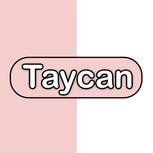 Taycan Store