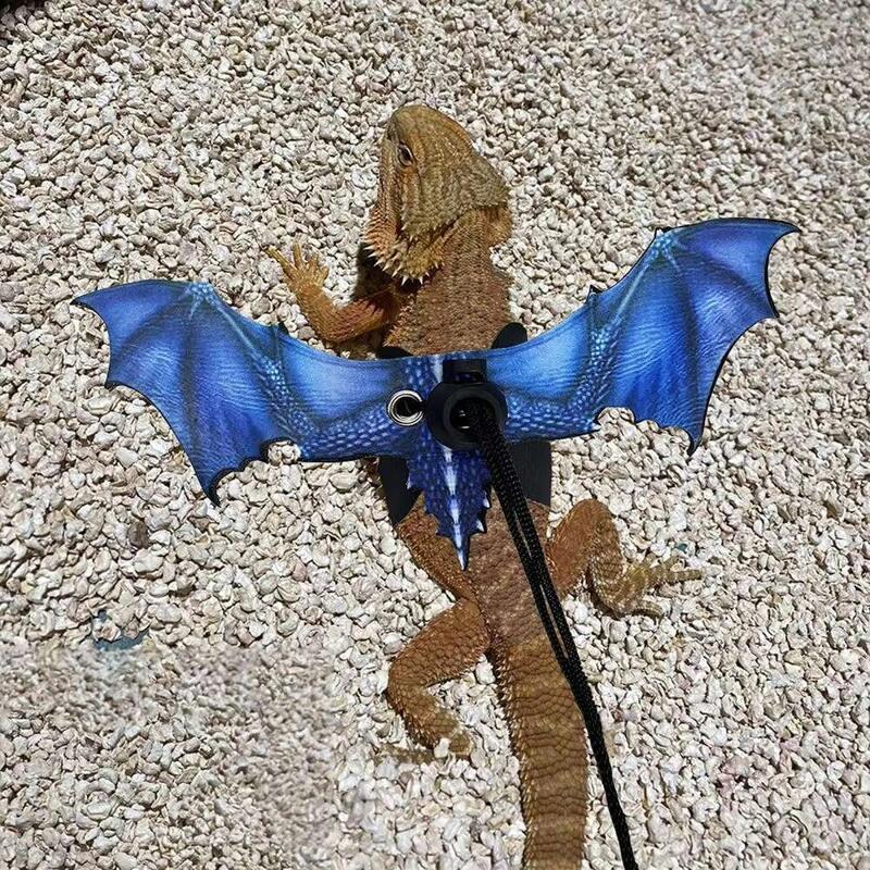 Product Introduction of Reptile Lizard Leash Adjustable Anti-Bite Wings Flexible Comfortable Bearded Dragon Harness Small Animal Clothes Supplies 34