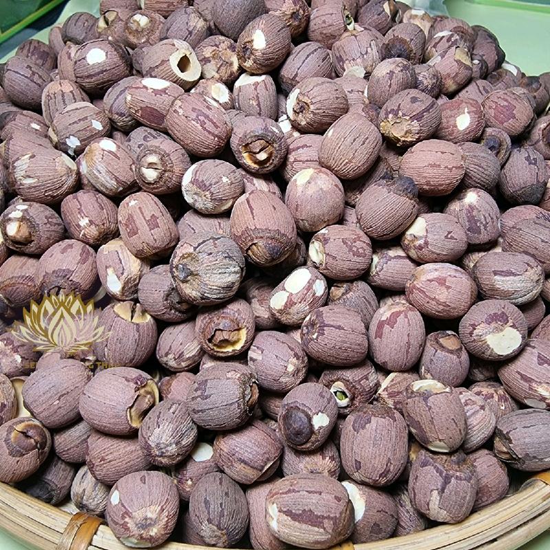 500g Hạt Sen Lứt Rang (Chống Lão Hóa Da, Cải Thiện Giấc Ngủ) Food lựa chọn khỏe mạnh hơn Snack Ăn Vặt 2