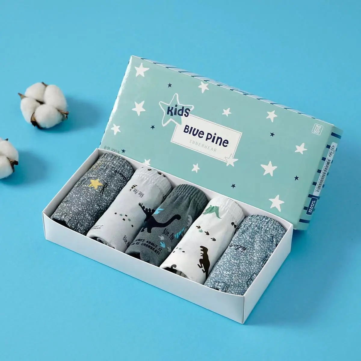 Set Celana Dalam Anak laki-laki 5pcs dengan kotak lucu Fashion