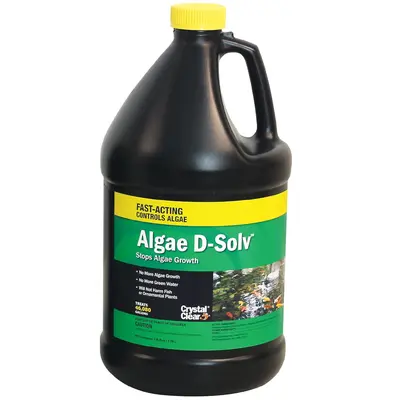 Fish Tank Best Api Pond Algaefix Algae Control Solution 2024 Where To ...
