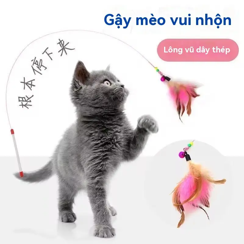 Đồ chơi mèo, Đồ chơi lông vũ cho mèo, Gậy đồ chơi cho mèo, Bộ 5 món tương tác với mèo con, Gậy dây trêu mèo 3