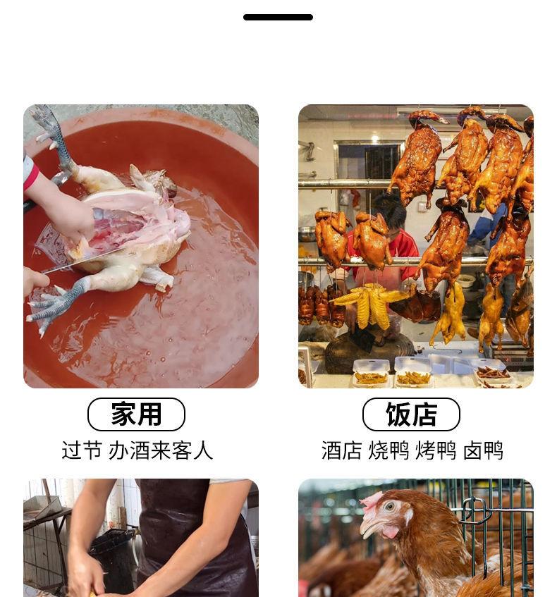 Product Introduction of Electric Chicken and Duck Dehairing Machine Rechargeable Duck Feather Pulling Artifact New Household Multi-Functional Automatic Poultry Hair Removal Device 7