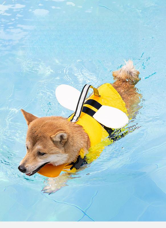 Product Introduction of Chomeo Dog Life Jacket, Universal Dog Swimsuit for Medium and Small Dogs, Pet Buoyancy Suit 0