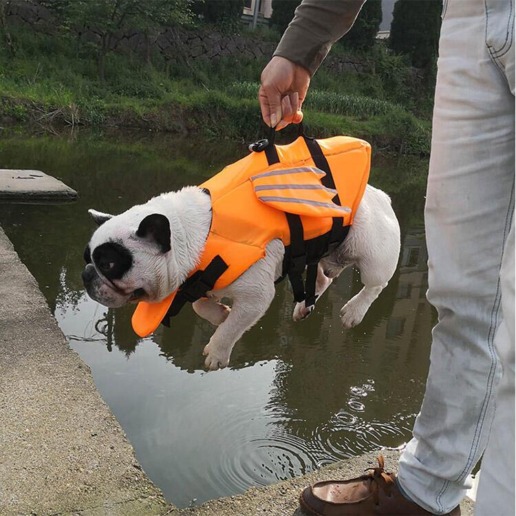 Product Introduction of Life Jacket Safety Vest Adjustable Preserver with High Buoyancy Durable Rescue Handle for Small Medium and Large Dog 13