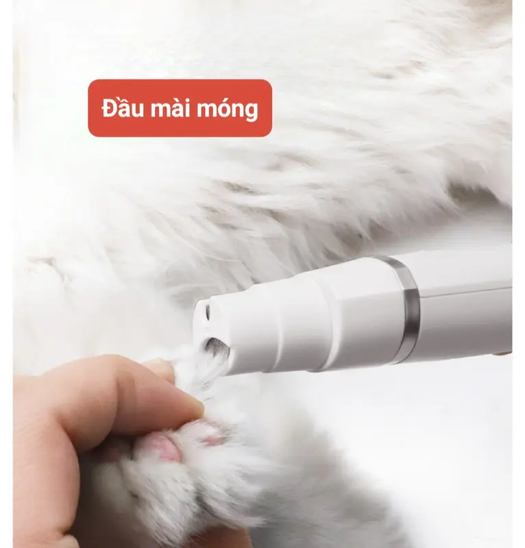 Tông đơ cắt tỉa lông chó mèo đa năng thế hệ mới, 4 chức năng đa dụng, Full Bộ cao câos, chống nước, sạc USB 6