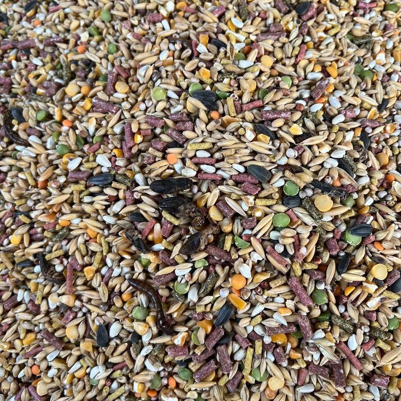 Ngũ Cốc Trộn Cao Cấp Cho Gà Cám Platinum Và Hạt Nhập