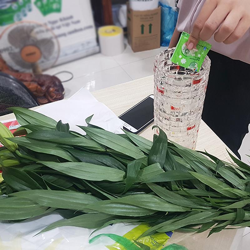 Bột Cắm Hoa Tươi Lâu Tàn Hiệu Longlife Nhập Khẩu Isarel (Bộ 30 gói) giúp hoa tươi lâu gấp 2 lần và 14 ngày không thay nước mới. 5