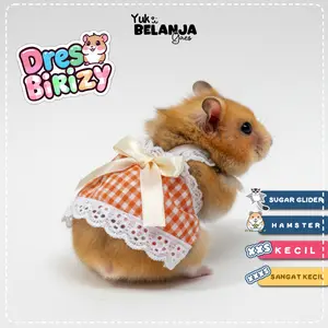 Baju Sugar Glider / Hamster Dress Birizy untuk Hewan Kecil size XXS | Y Belanja Gaes!
