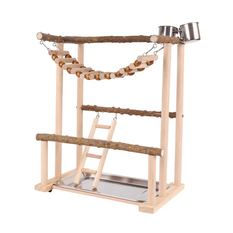 Parrot Playstand Exercise Activity Center with Ladder Parrot - TikTok Shop Singapore - Bird Playstand Exercise Kit