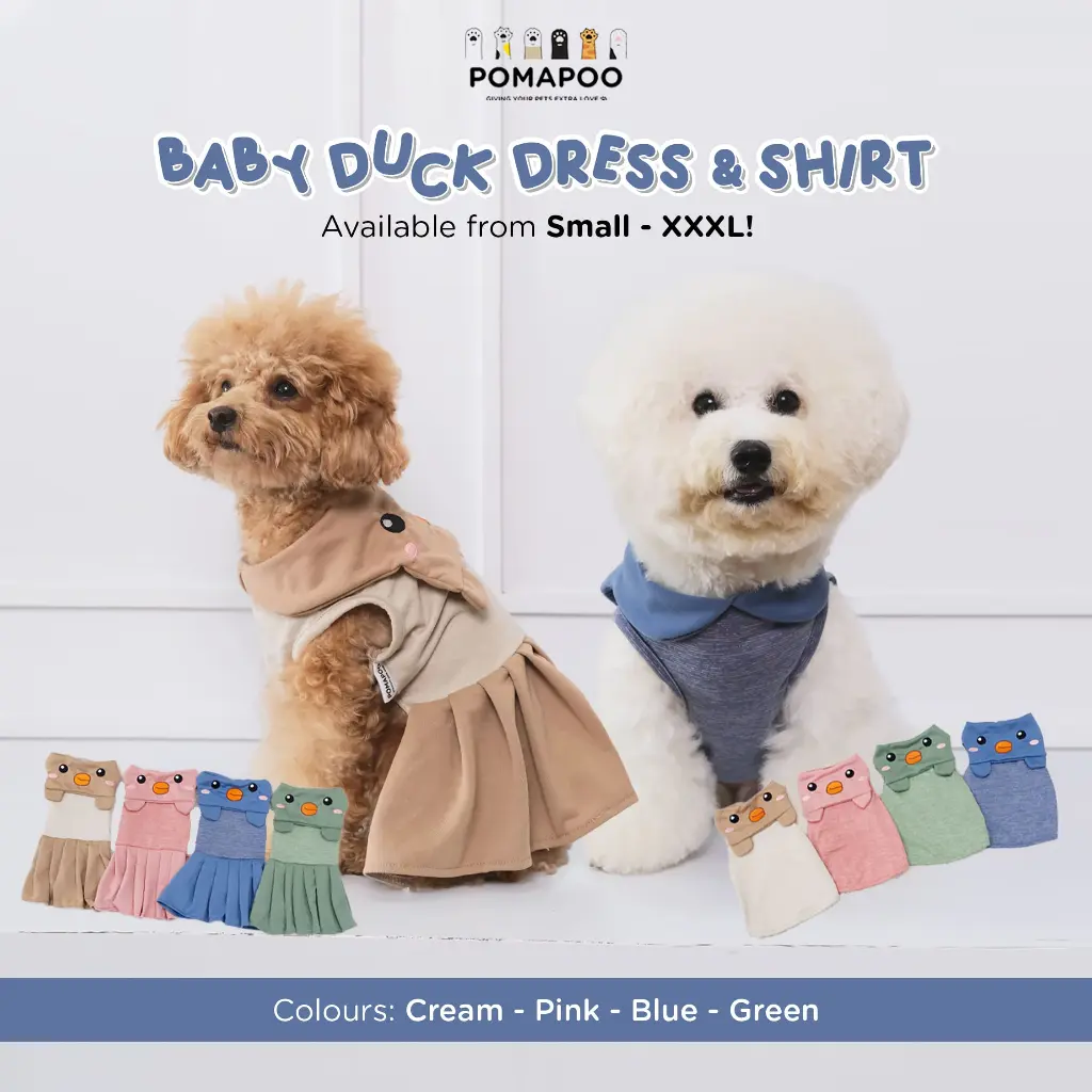 Pomapoo - Baju Kucing dan Baju Anjing Baby Duck Shirt & Dress