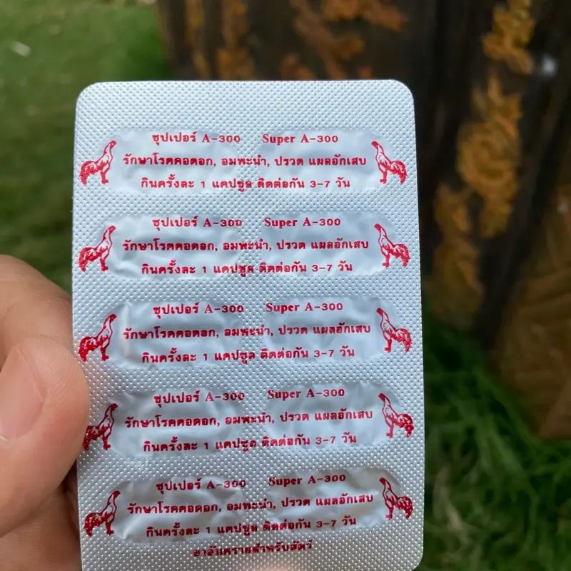A 300 tiêu sưng, tiêu kén cho gà chọi 3