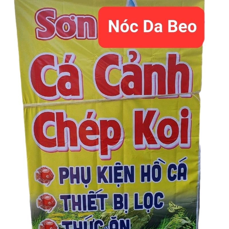 Decan ( KIM NGÂN, KIM SƠN ) hình quảng cáo siêu kute Decor Decal ( Cá cảnh ) 5