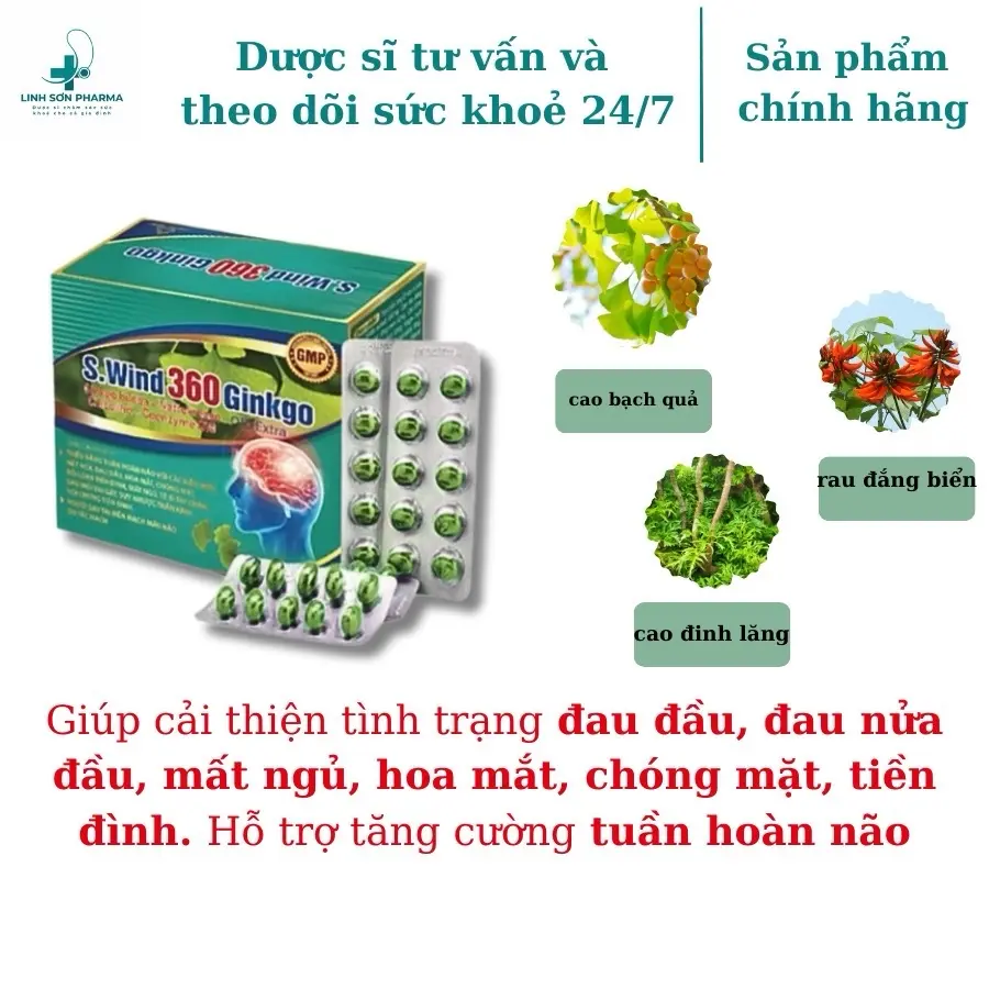 GINKGO 360 S.WIND - Hoạt huyết dưỡng não, giảm các triệu chứng đau đầu, tiền đình, giảm di chứng sau tai biến