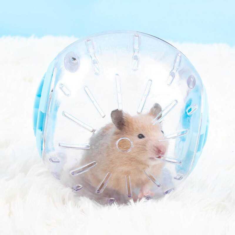 Product Introduction of TTS Homie Umisu ball outdoor pet fitness toy made of plastic used for small running 20