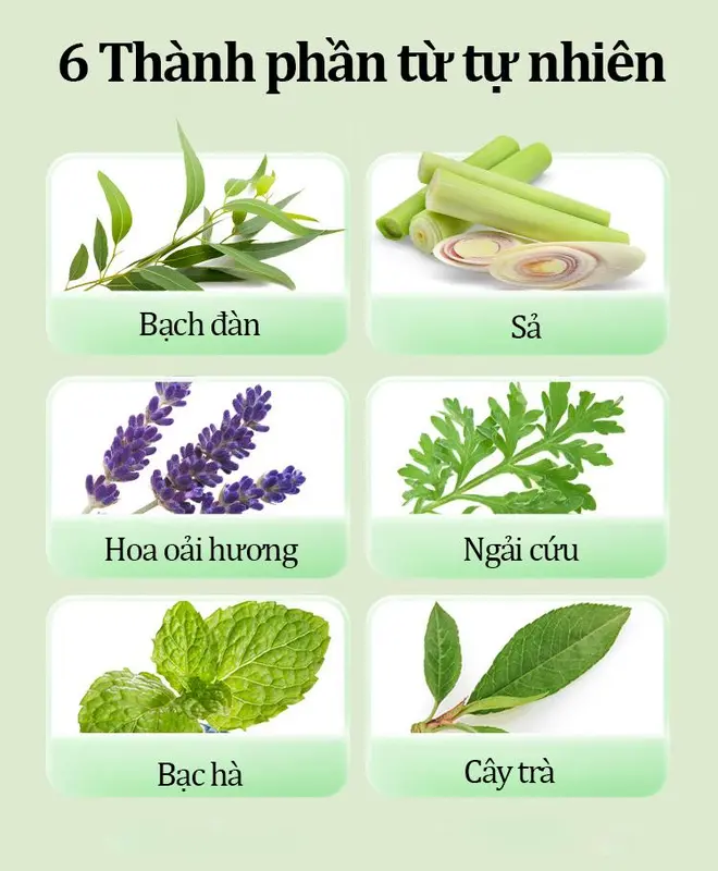 24 Miếng Dán Tinh Chất Thảo Mộc Hình Con Vật Dễ Thương , Đuổi Côn Trùng, Miếng Dán Hương Sả 4
