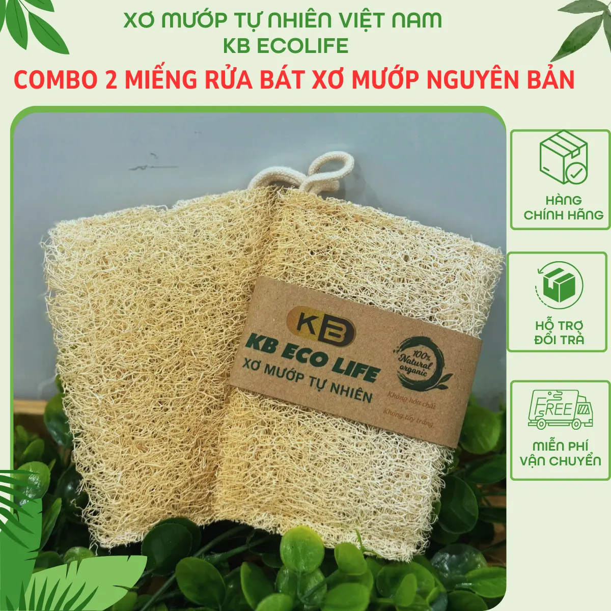 COMBO 2 miếng Rửa Bát Xơ Mướp Nguyên Bản KB Ecolife không hóa chất tẩy trắng, tạo bọt mịn rửa sạch chén bátn bát mieng rua