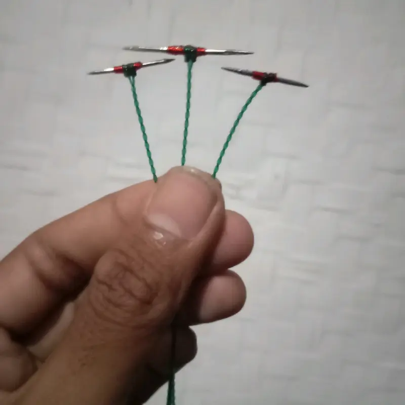 Urek palang belut sawah,rawa 0