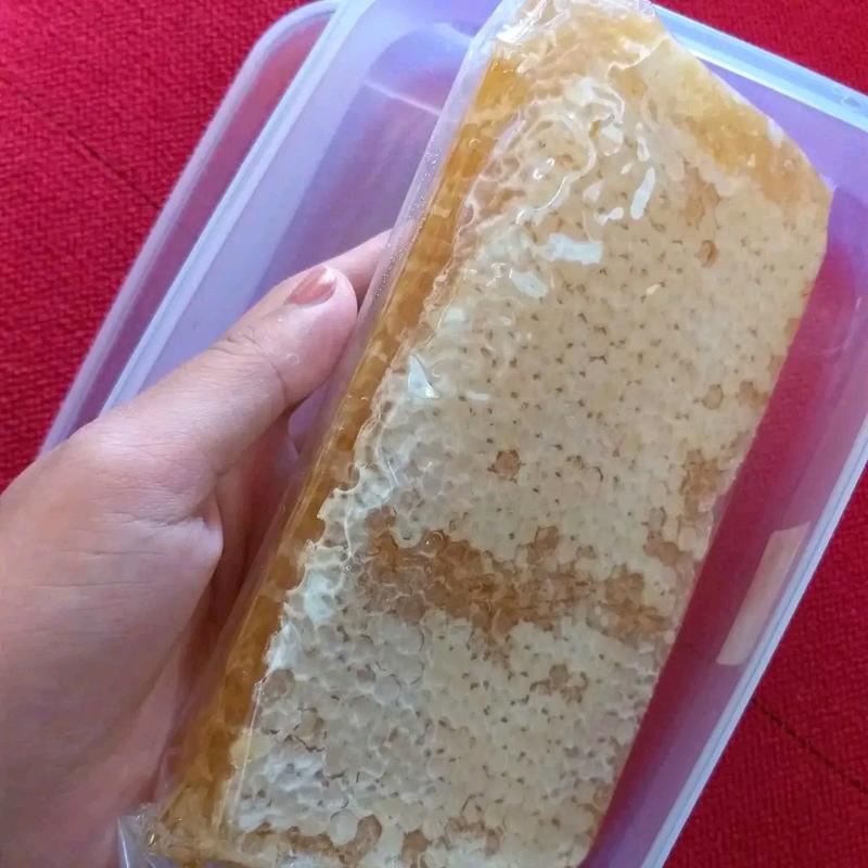 madu sarang asli lebah honeycomb 1