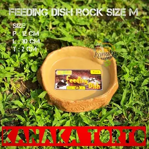 Feeding Dish Rock Size M Tempat Makan Reptil Kadal Kura Sulcata Pardalis Aldabra