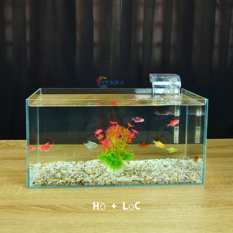 Bể cá Mini 40cm để bàn dày 5mm với nhiều mẫu bể  cá