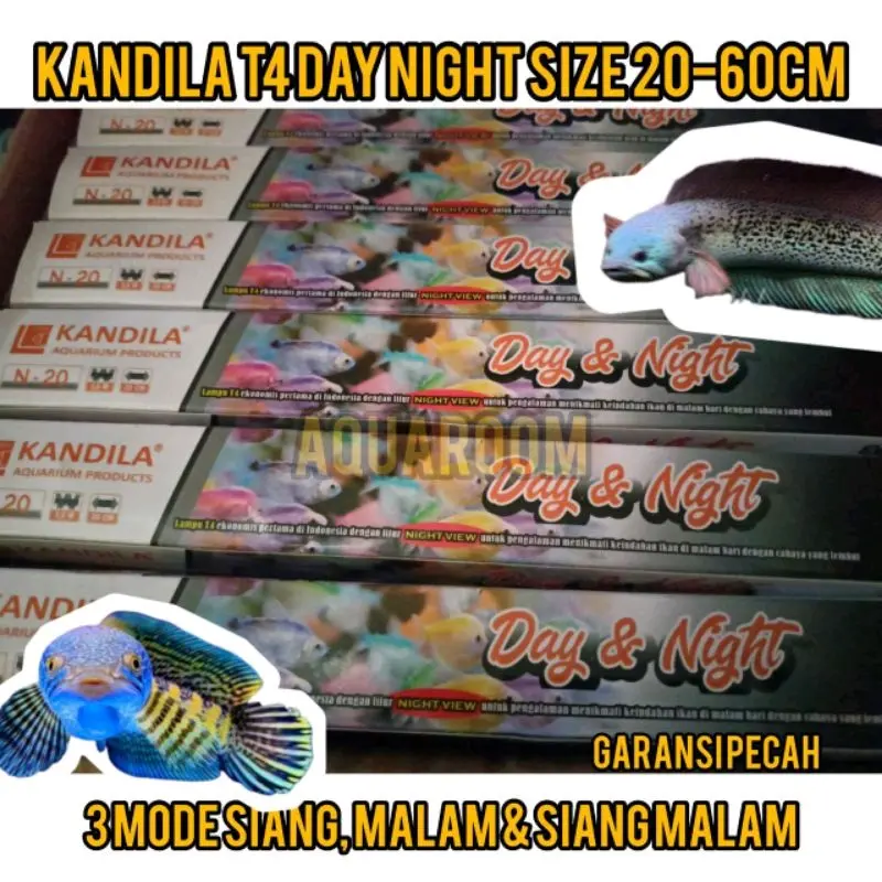 KANDILA DAY NIGHT T4 2