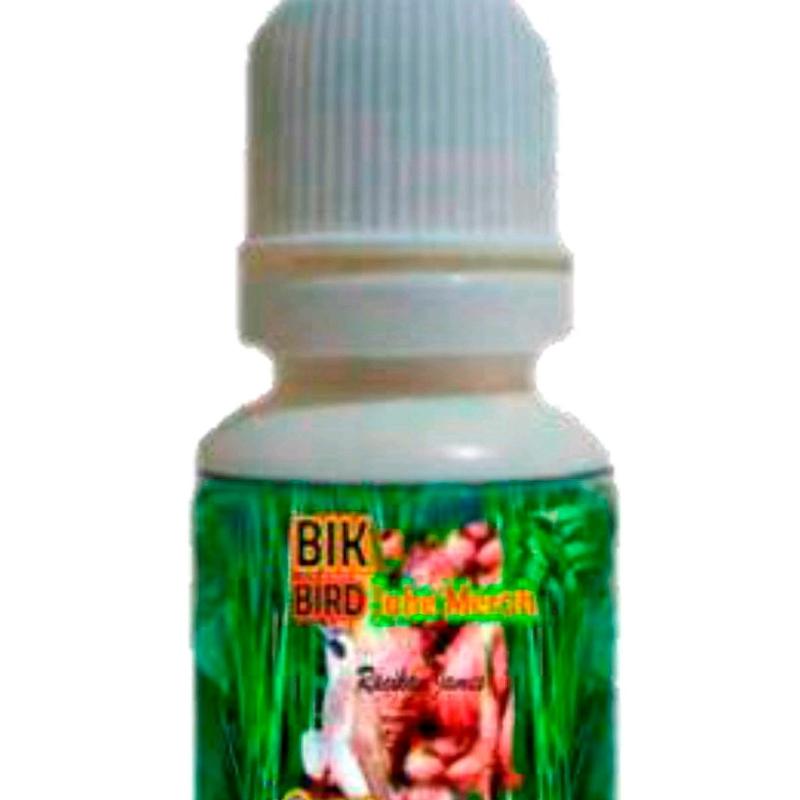BIK Bird Trucuk. Ekstra Jahe Merah. Jametik. 5