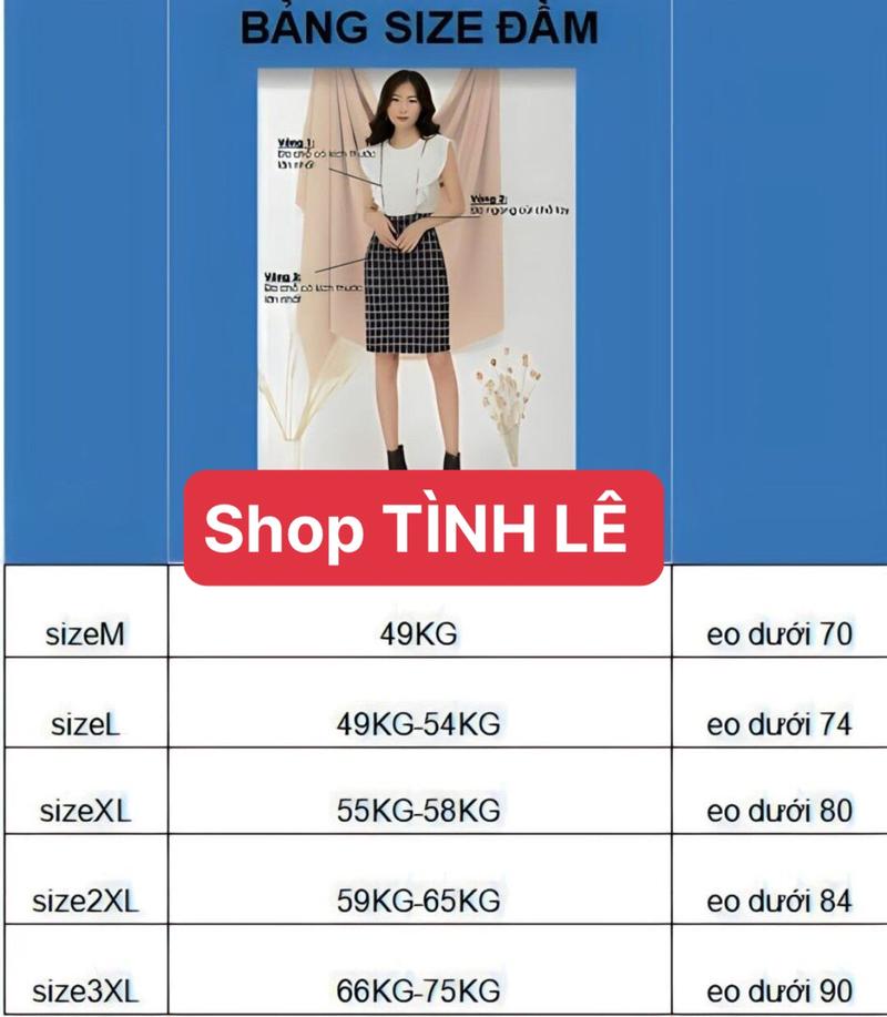 Product Introduction of MÃ 965  : ĐẦM CỔ TRÒN DÁNG DÀI CC Nữ Women 0