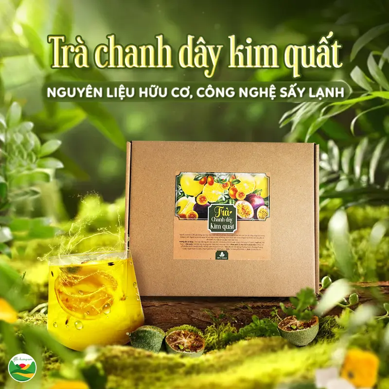 Trà chanh dây kim quất Triệu Lộ Tư hỗ trợ Detox, giải nhiệt cơ thể, danh mục: Nước Trà Chè túi trà