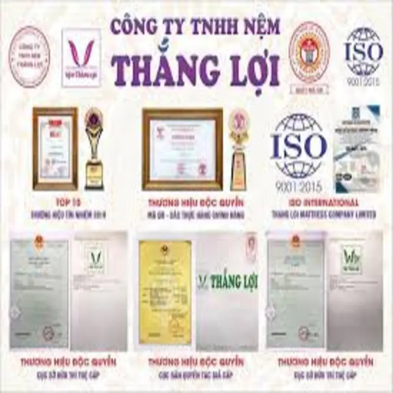 Nệm 1m x 15cm x2m cao su non THẮNG LỢI chính hãng ( quà tặng 7 món ) 4
