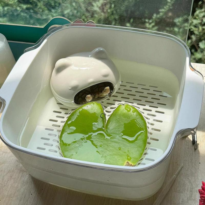 Bể Cho Ăn Rùa, Nhà Trú Ẩn, Để Sử Dụng Trong Gia Đình, Phòng Khách Và Ký Túc Xá, Bàn Phơi Cho Rùa Brazil Nhỏ Bể Cá, Thoát Nước, Thuận Tiện, 2024 2