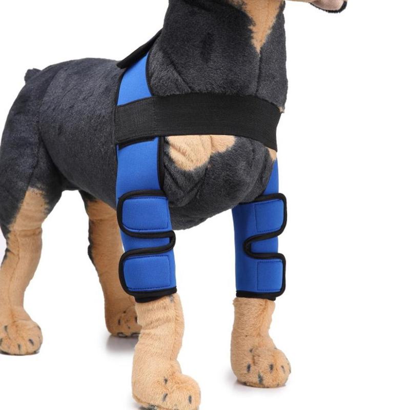 Product Introduction of Dog Leg Knee Leg Joint Support Prevents Injuries and Sprains 0