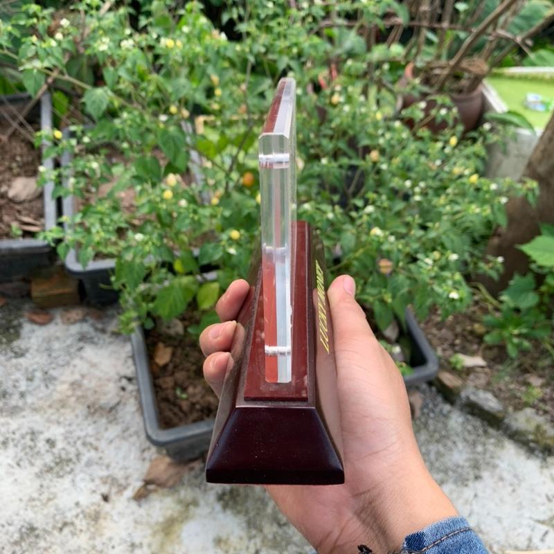 [FREE SHIP + SỈ] Kệ trưng bày tiền lucky money đế gỗ, mặt mica cao cấp nút nam châm. 1