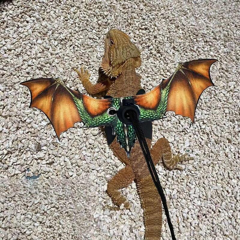 Product Introduction of Reptile Lizard Leash Adjustable Anti-Bite Wings Flexible Comfortable Bearded Dragon Harness Small Animal Clothes Supplies 25