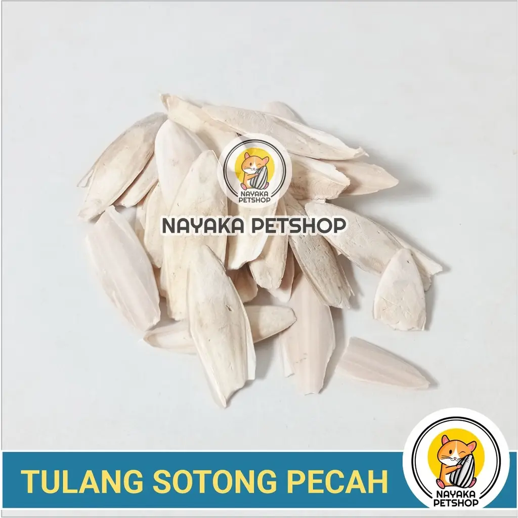 Tulang Sotong Pecah Kalsium Mineral Burung Gigitan Hamster Alami Gnawing Stone Natural Asah Gigi Dental Care