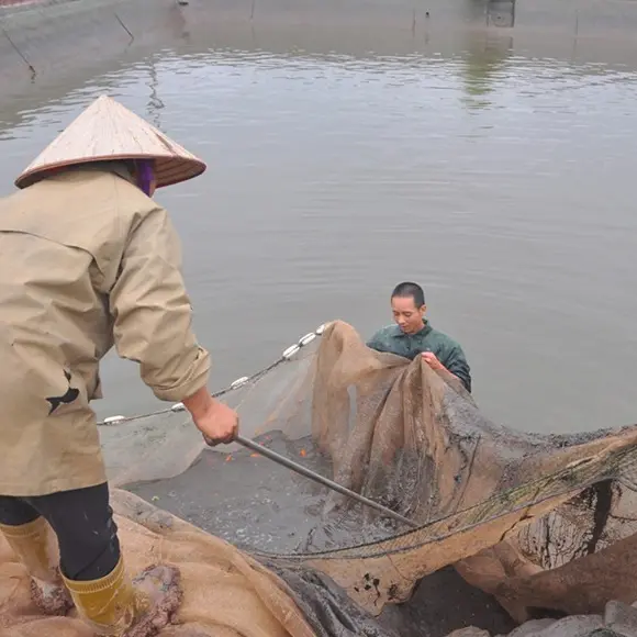 Lưới Vét Cá Dài 10m, 20m, 30m Cao 2m, 2.5m, 3m - Lưới Kéo Tôm Tép - Lưới Quét Ao Hồ Sông Suối Chất Lượng Cao 1