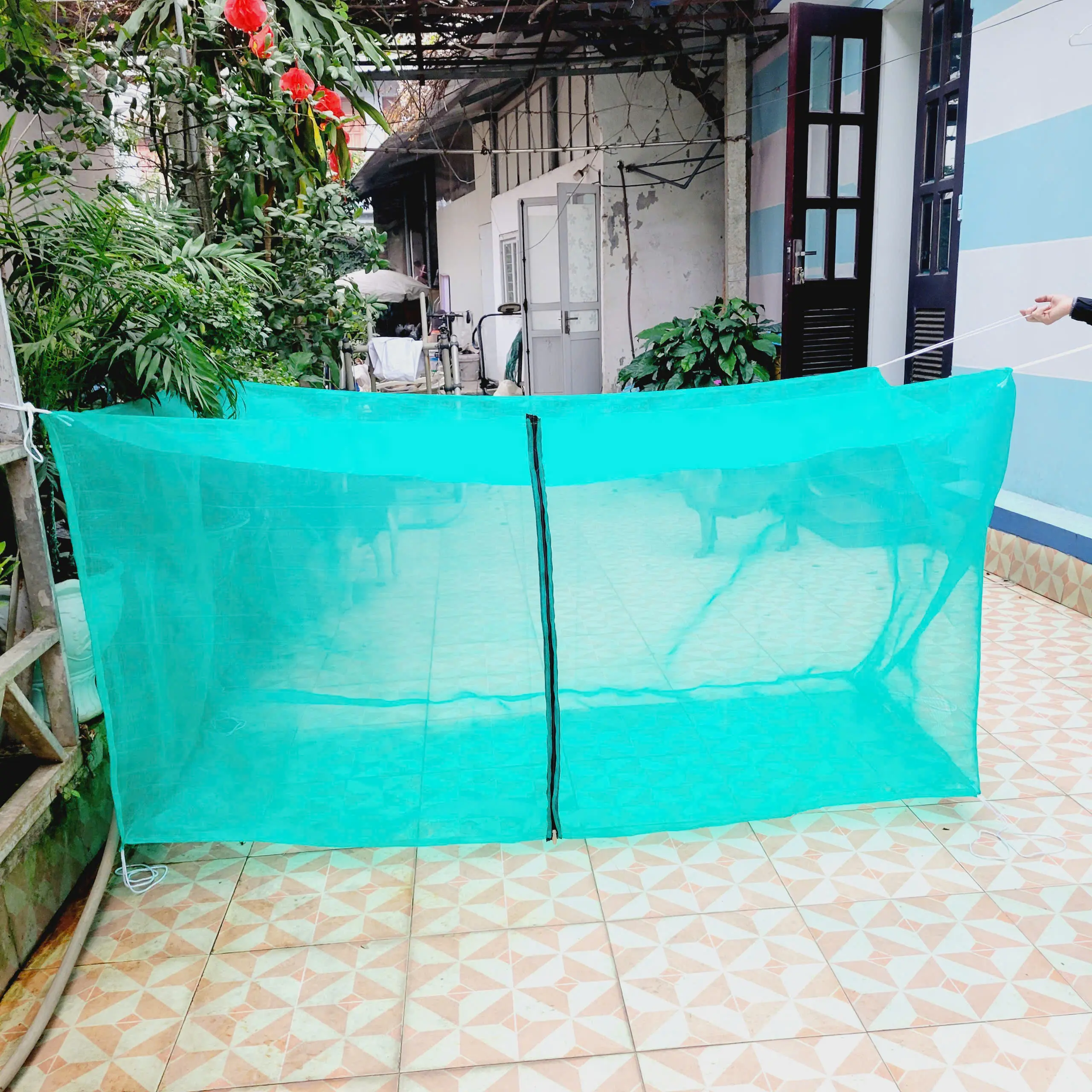 Lồng nuôi cào cào nuôi dế nuôi ruồi lưới cước thái
