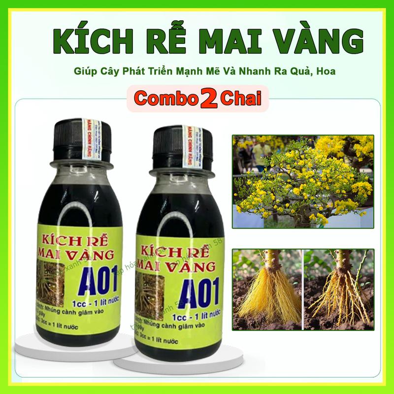 Combo 2 Kích Rễ Mai Vàng A01, Phân Bón Đậm Đặc Kích Rễ Cây Mai Vàng và Bonsai Cây Kiểng Các Loại