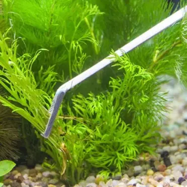 Pinset Aquascape Reptil Medis Stainless Steel 48cm 38cm 30cm 25cm 20cm / Penjepit Pinset Tanaman Aquascape 1