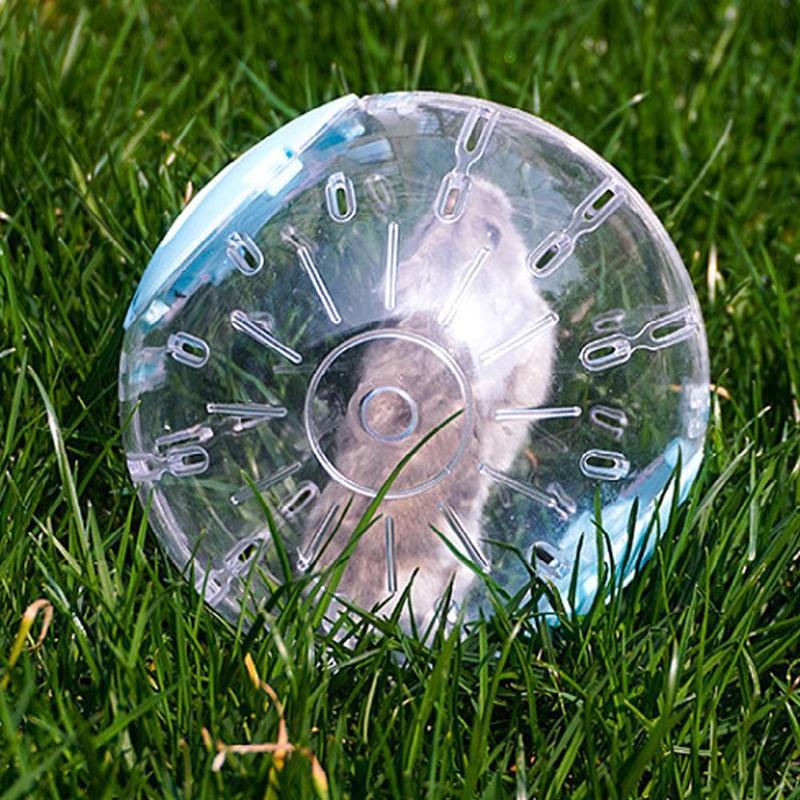 Product Introduction of Hamster Toy Ball Transparent Rolling Ball Plastic Silent Wheel Toy Running Pet P9W7 31