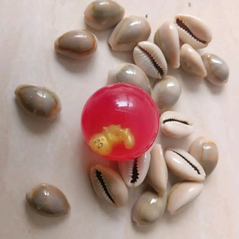 Set Bola Bekel Mainan Anak Tradisional Plus 10pc Biji Kerang Asli Toys Permainan - Mainan Anak 90an 2