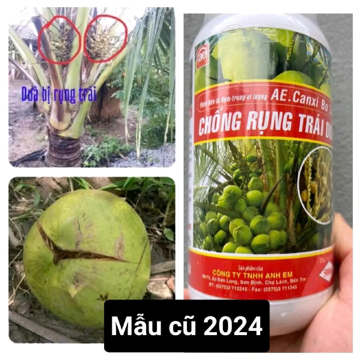 PBL Chống rụng trái dừa - Canxi bo 500ml