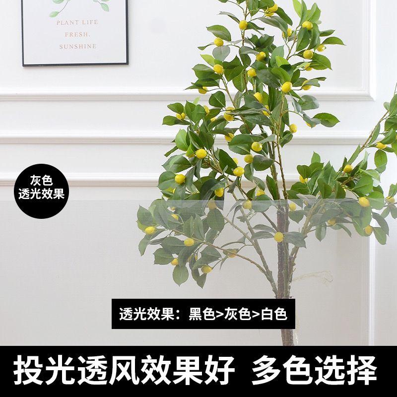 Product Introduction of Nano Window Gauze Anti-Mosquito Encryption Car Window Shade Window Gauze Window Gauze Household Self-Installed Aluminum Alloy Plastic Steel Window Gauze Invisible 11