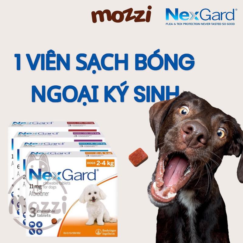 Viên nhai trị ve bọ chét Nexgard cho chó nexgardspectra