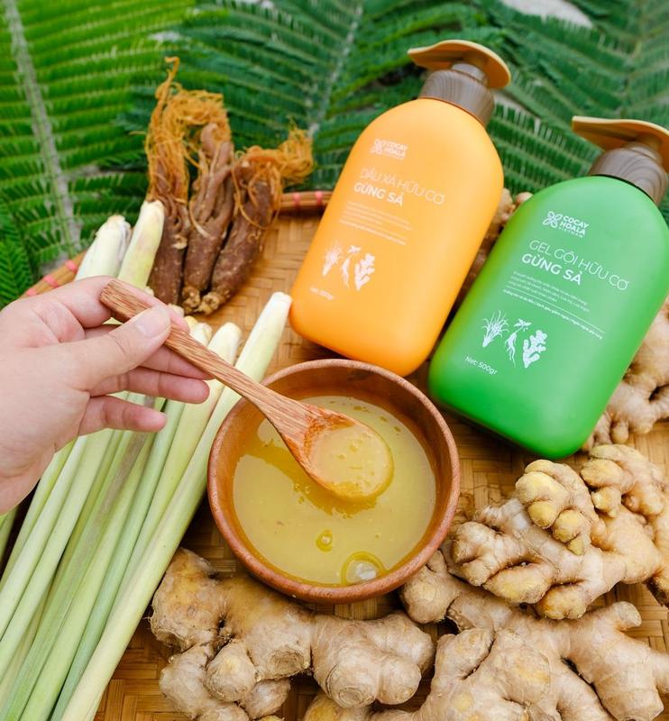 Cặp Dầu Gội Xả Hữu Cơ Gừng Sả Cocayhoala 500g Dưỡng Tóc